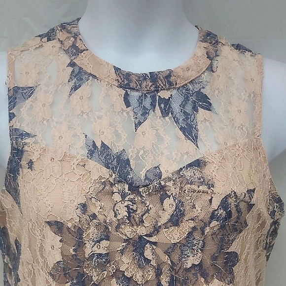 Lace Mini Dress Tunic Sweetheart Neck Pastel Peach Blu Gray Rose Floral Coquette - Picture 10 of 11